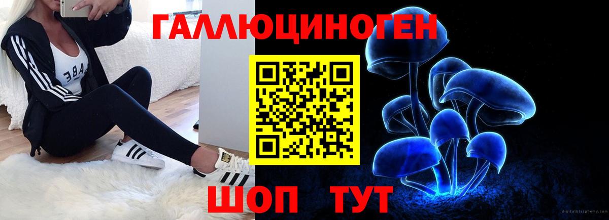Галлюциногенные грибы GOLDEN TEACHER  Вход с VPN  Новотроицк 